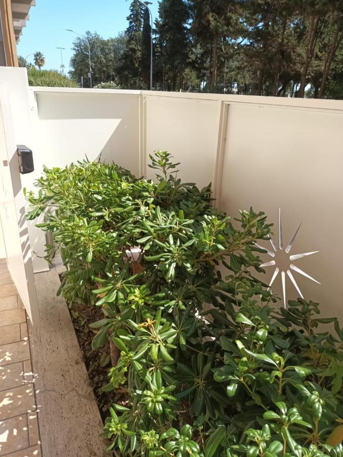 B&B Lido Apartament 10A 西维尔诺瓦·马尔凯 外观 照片